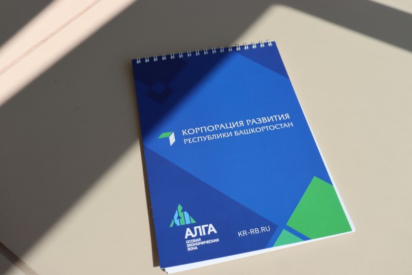 Bashkortostan Development Corporation has developed a new investment proposal in the field of roadside service development