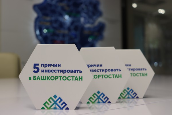 Bashkortostan Development Corporation analyzed more than 1,700 investment sites