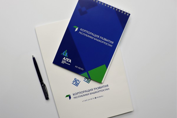 Bashkortostan Development Corporation presented a PPP project to create a FOCA
